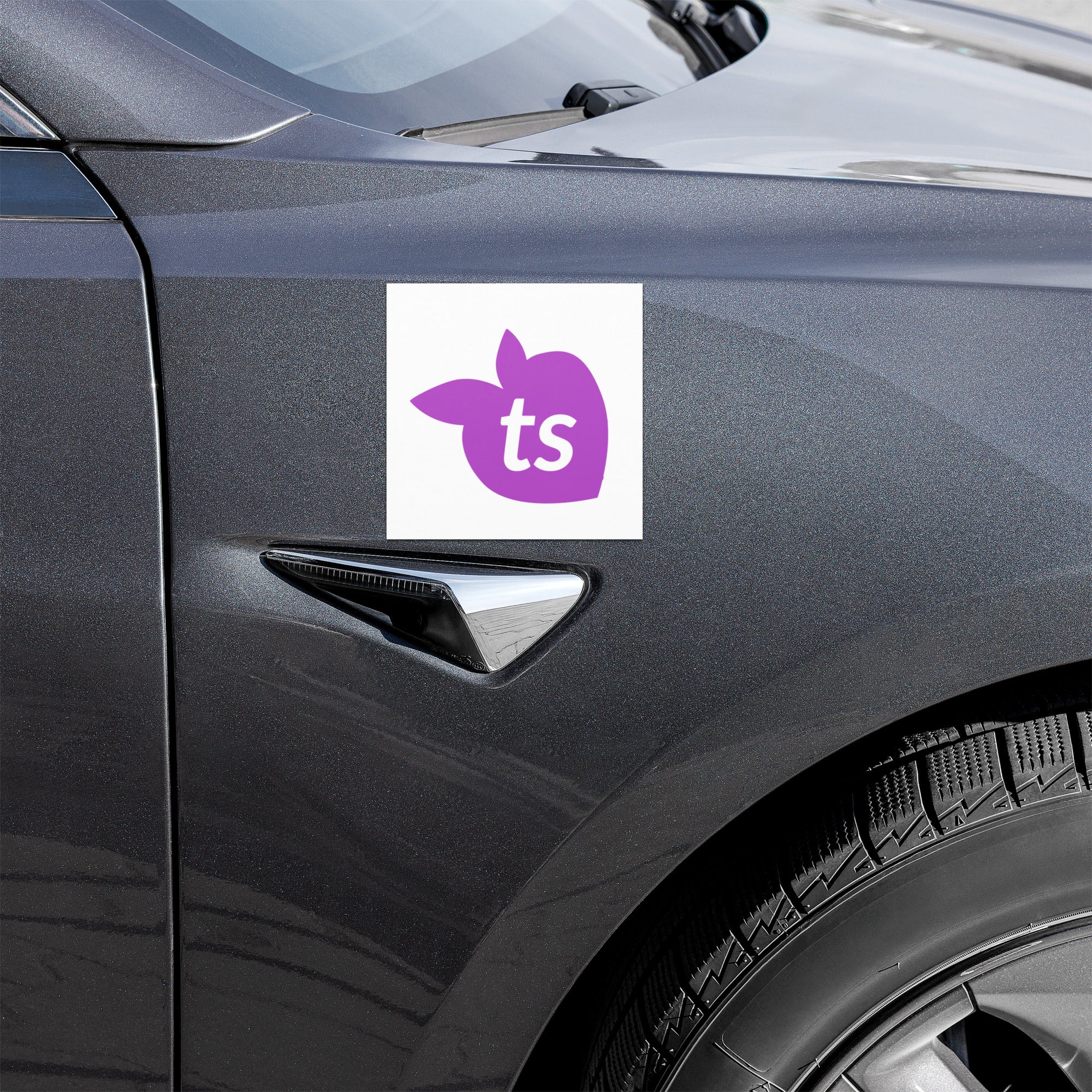 tsgabrielle® • Car Magnets • Icon ts • 5" x 5"