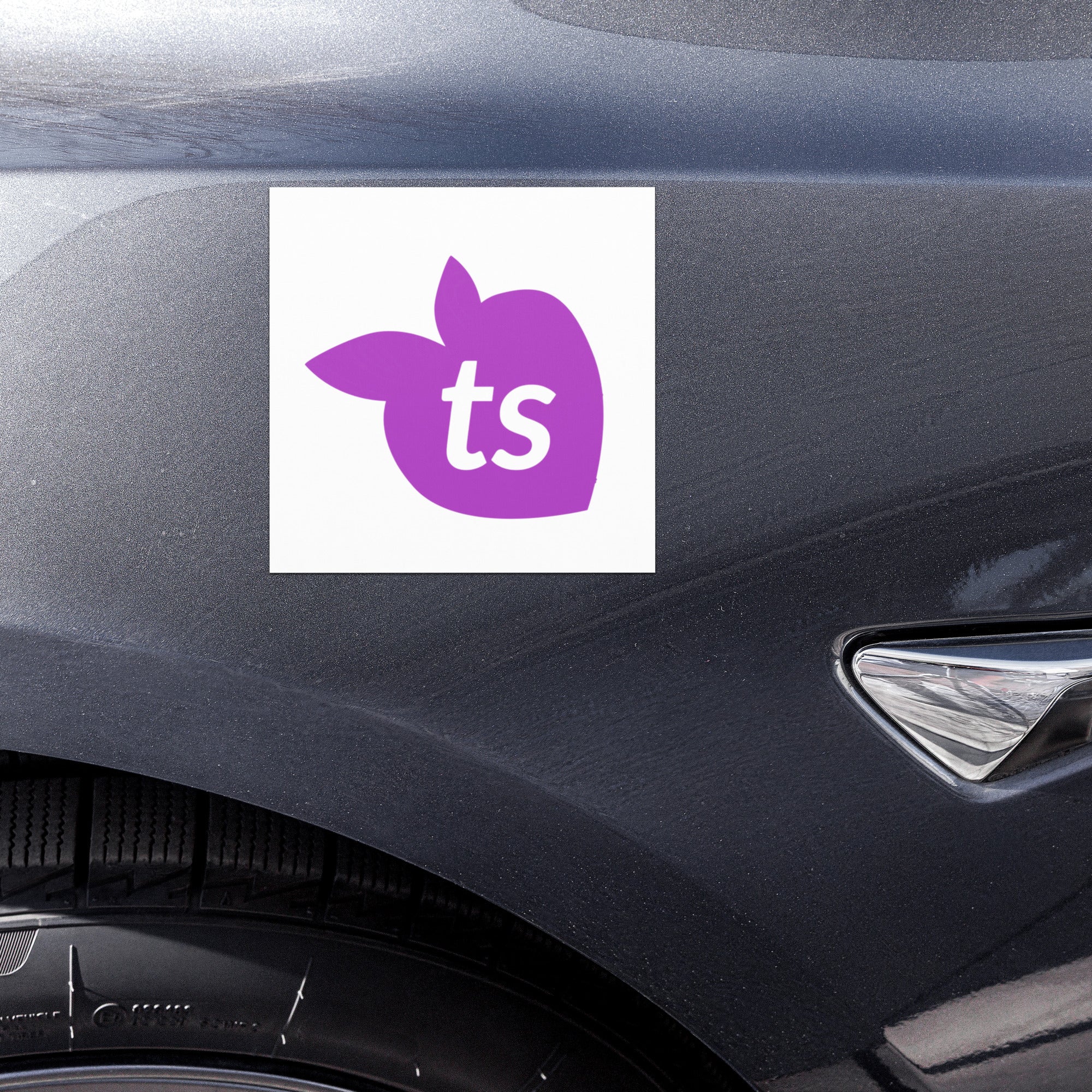 tsgabrielle® • Car Magnets • Icon ts • 5" x 5"