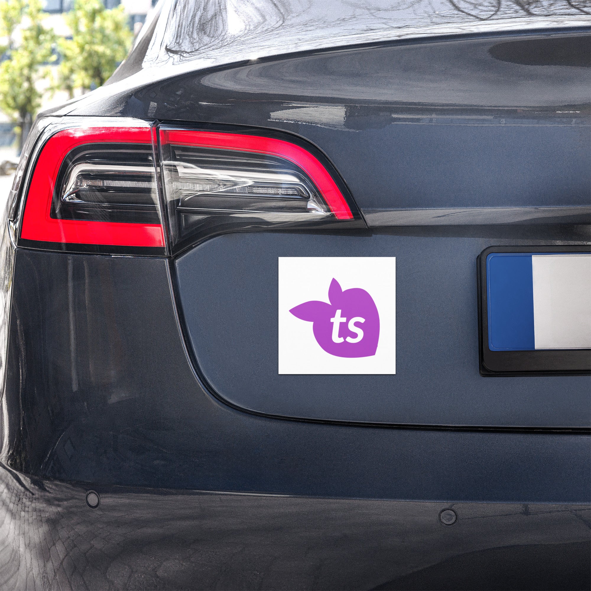 tsgabrielle® • Car Magnets • Icon ts • 5" x 5"