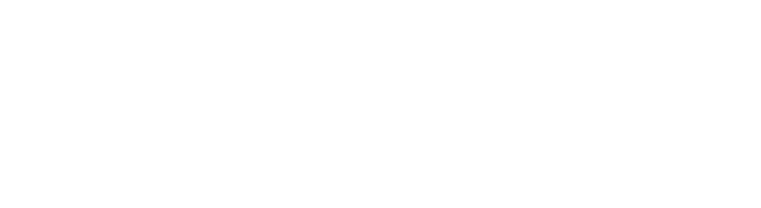 tsgabrielle footer premium