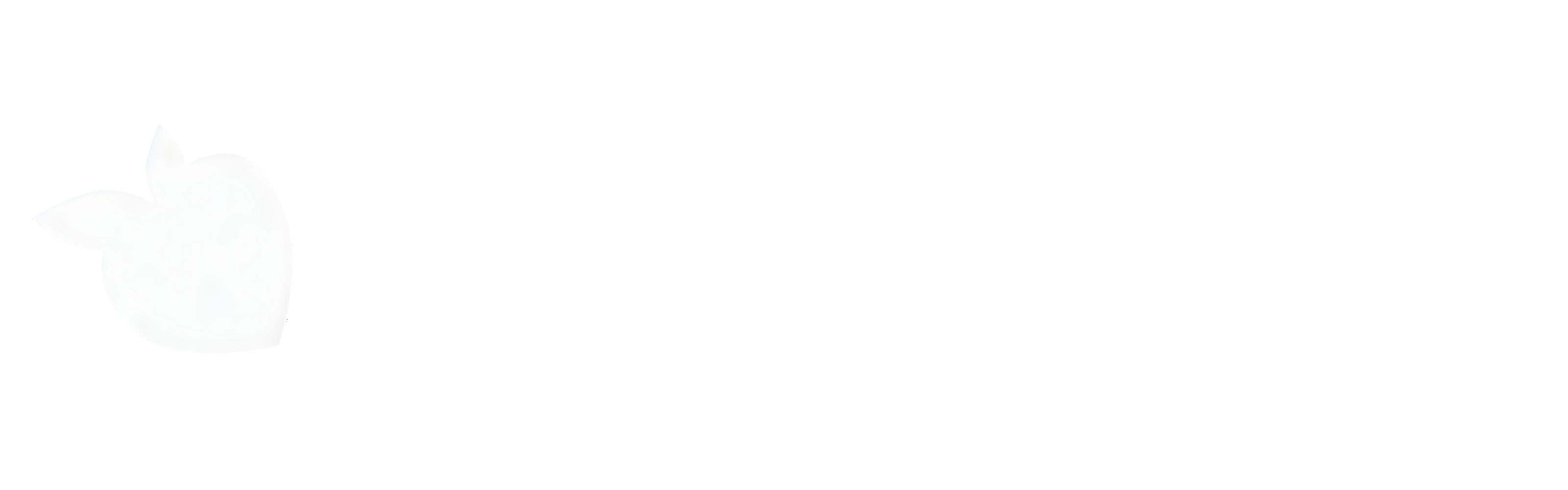 tsgabrielle®